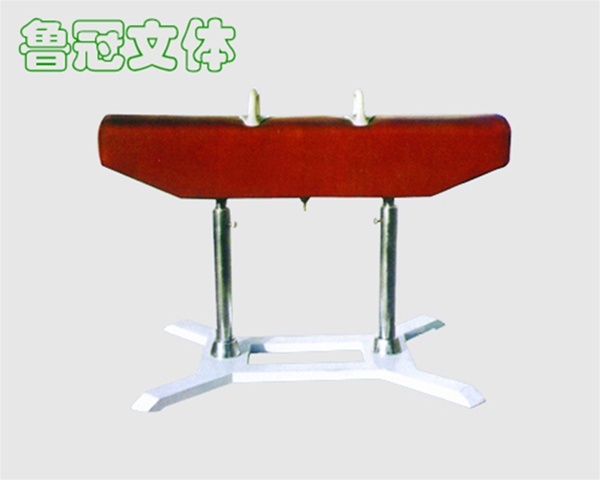 LG-TC0005 高級(jí)鞍馬