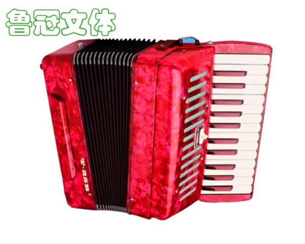 LG-YYQC0073手風琴